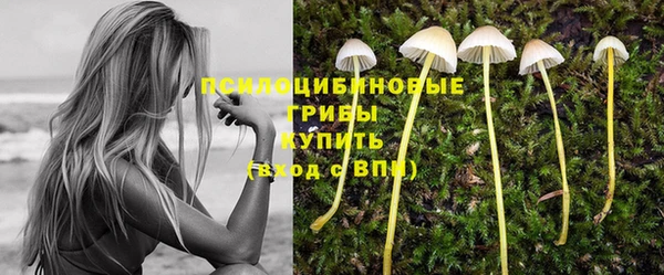 твердый Няндома