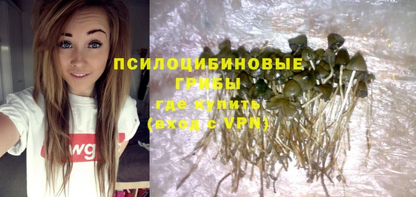 твердый Няндома