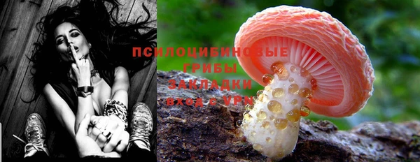 не бодяженный Нязепетровск