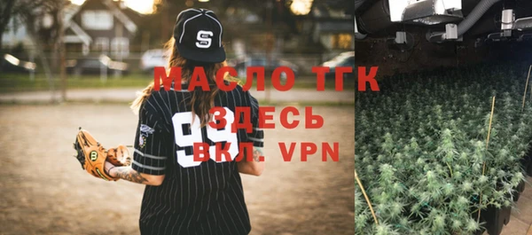 шишки Белая Холуница