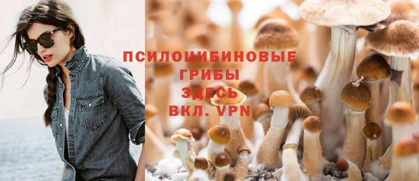 не бодяженный Нязепетровск