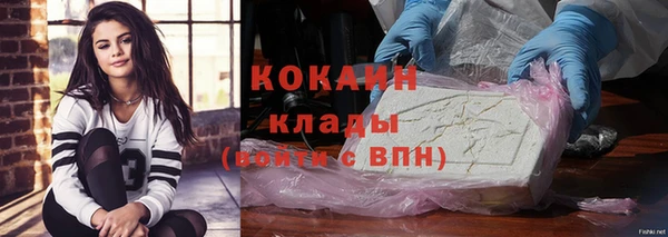твердый Няндома